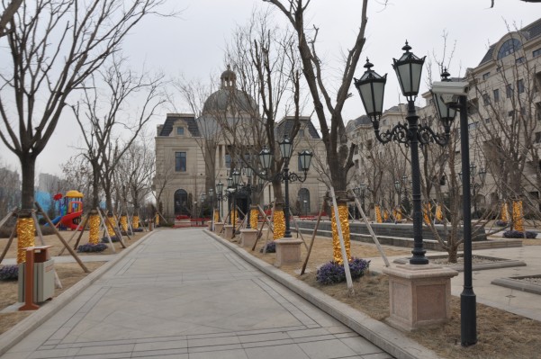 �͵��������ۘǲ�