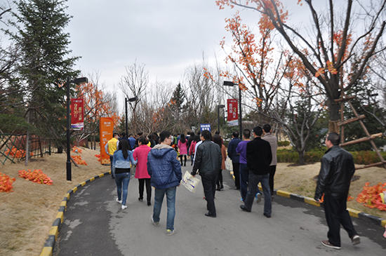 0352���W(w��ng)�W(w��ng)�х��^��������^(q��)���^