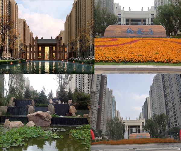 ����ͥ�Ŀ���^�����D