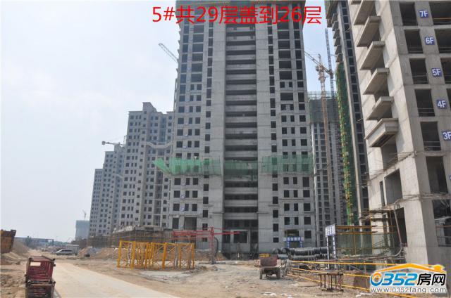 �|�����Ǻ�����5#�����M��