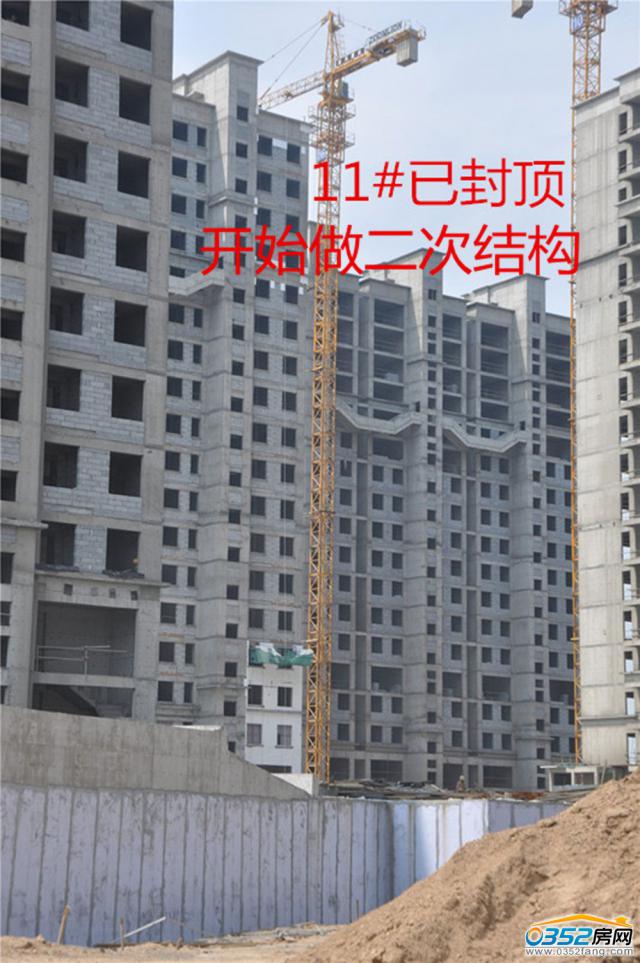 �|�����Ǻ�����11#�����M��