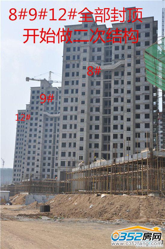 �|�����Ǻ�����8 9 12#�����M��