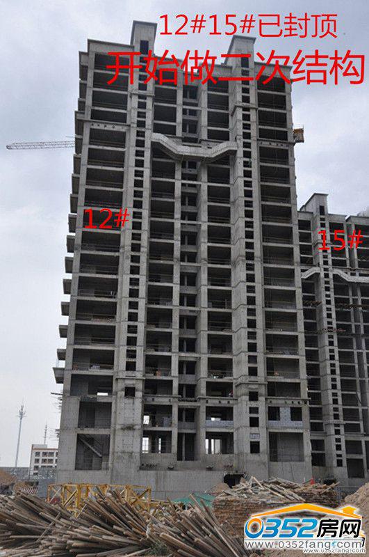 �|�����Ǻ�����12 15#�����M��