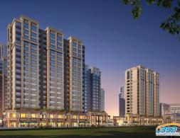 �|�����Ǻ�����