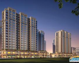 �|�����Ǻ�����