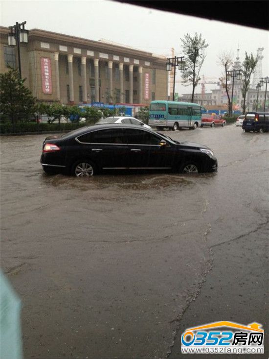 2013����������T��