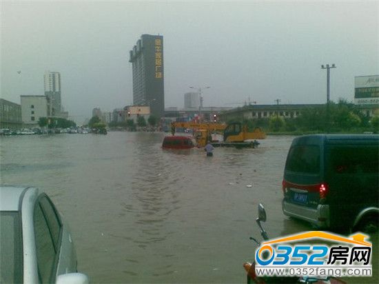 2013�����Ľ�ţ�ҾӏV��