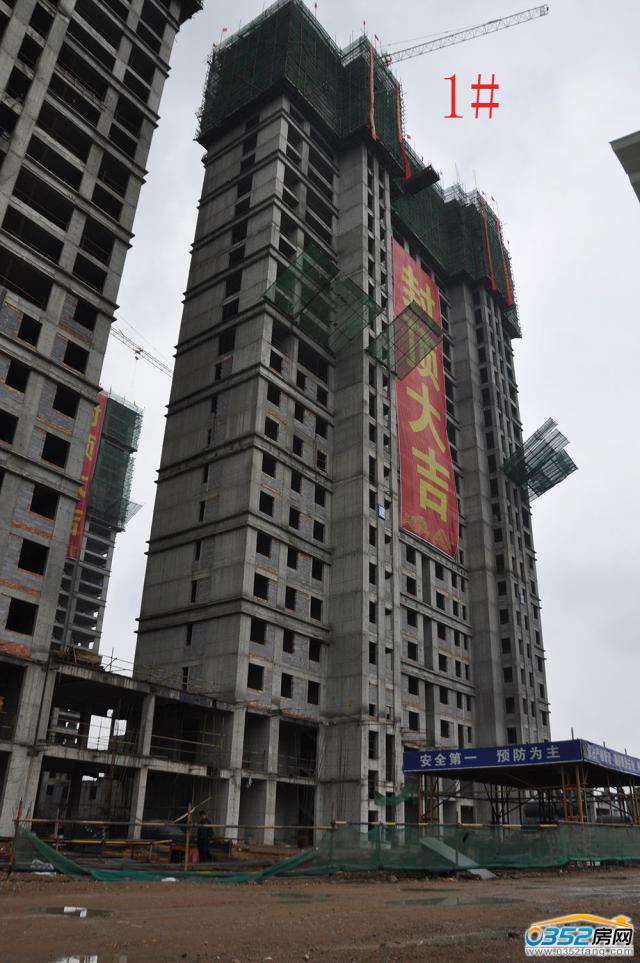 ��ͩԷ���8