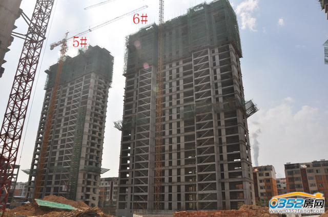 7.30��ͩԷ5#��6#