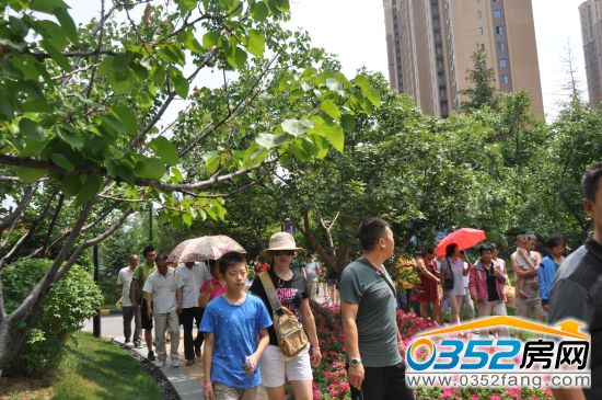 0352���W�W��ǰȥ�������ۘǲ�