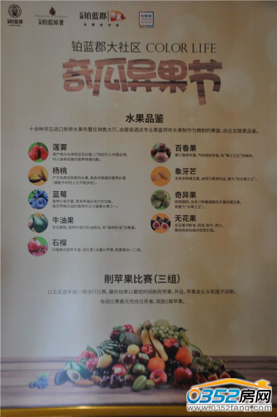 �K�{������^��Ϯ������������