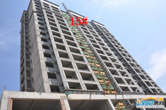 8.13�|�����Ǻ�����15#�ǹ����M��