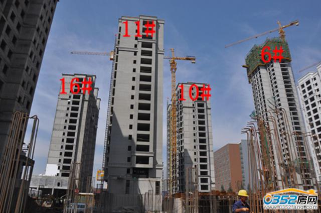 8.13�|�����Ǻ�����6#��10#��11#��16#�ǹ����M��