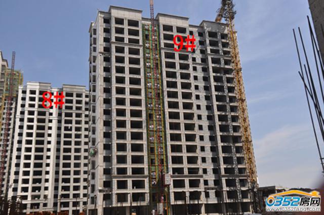 8.13�|�����Ǻ�����8#��9#�ǹ����M��