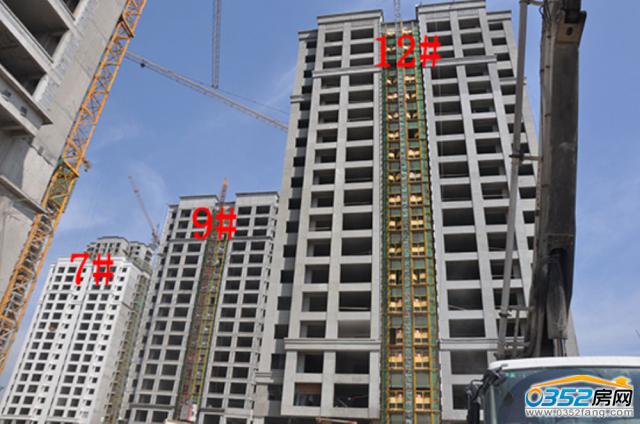 8.13�|�����Ǻ�����7#��9#��12#�ǹ����M��