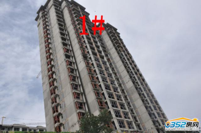 8.18�ͅR�ٺϞ�1̖�ǹ����M�Ȍ����D