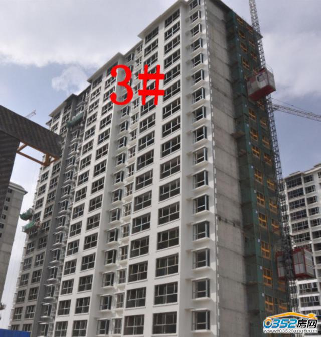 8.18�ͅR�ٺϞ�3#�����M�Ȍ����D