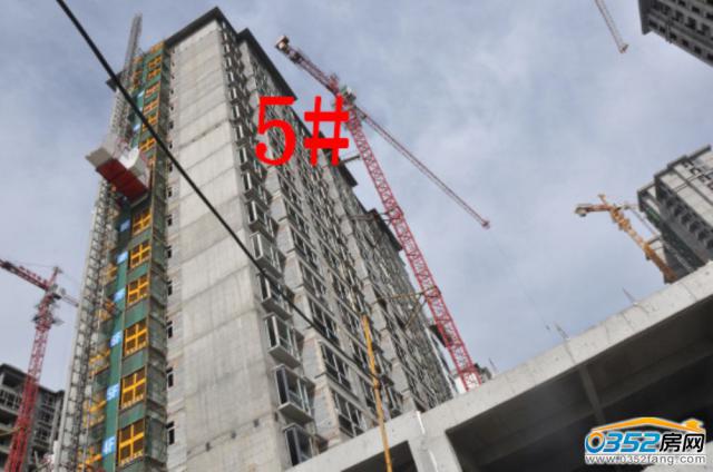 8.18�ͅR�ٺϞ�5#�����M�Ȍ����D