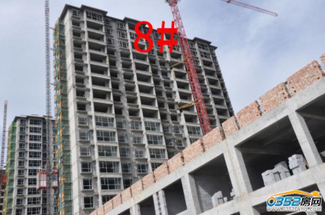 8.18�ͅR�ٺϞ�8#�����M�Ȍ����D