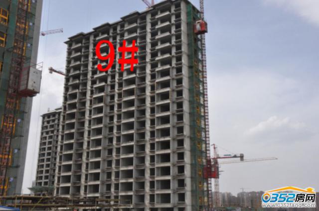 8.18�ͅR�ٺϞ�9#�����M�Ȍ����D