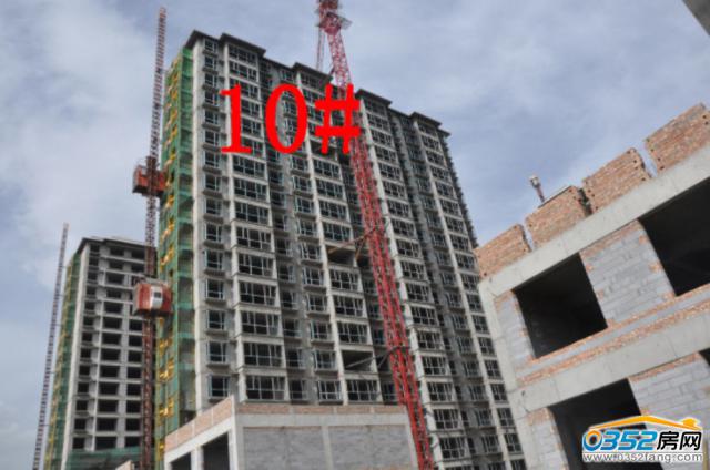 8.18�ͅR�ٺϞ�10#�����M�Ȍ����D