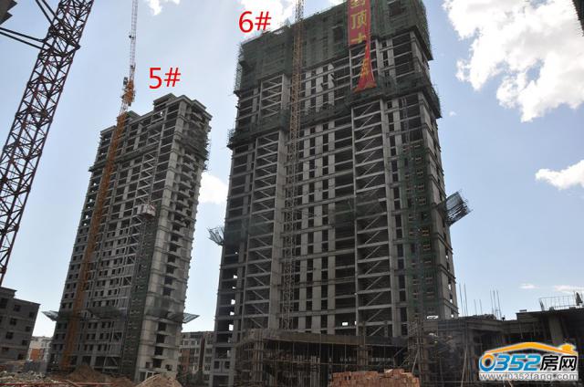 ��ͩԷȫ�����5#��6#