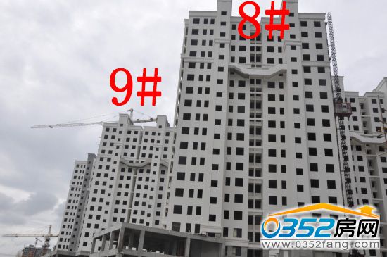 �|�����ǡ�������8#��9#���≦������ɣ��������≦Ϳ��