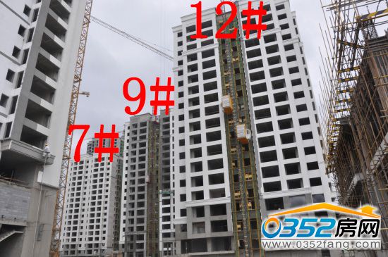 �|�����ǡ�������7#��9#��12#���≦������ɣ��������≦Ϳ��