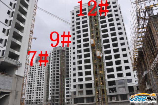 9.1�|�����ǡ�������7#��9#��12#�ǹ����M�Ȍ����D