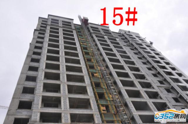 9.1�|�����ǡ�������15#�ǹ����M�Ȍ����D