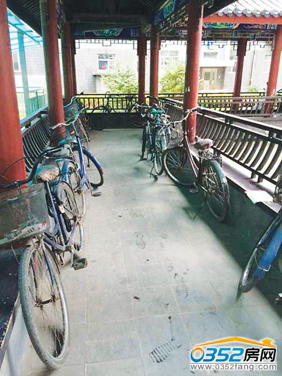 240902496e8672eae95814.jpg 550.jpg