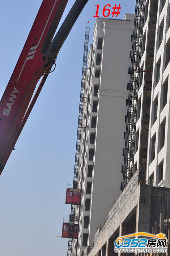 10.16�|�����ǡ�������163�ǌ����D