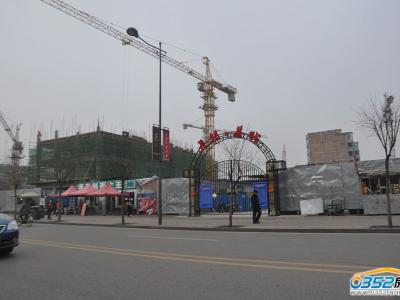 11��13�����J��ǌ����D