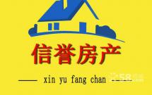 ���ЌW(xu��)�^(q��)�������ݾ��������@�� 77�O 12�� 23.5�f���Q����