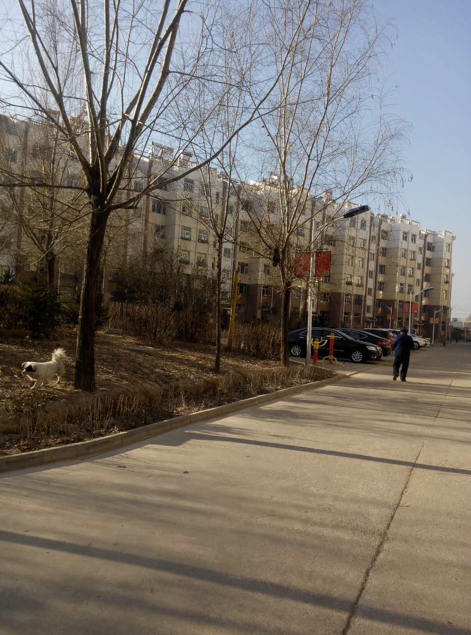 ����ϼ���