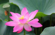 �A���� 2��1�d1�l 63�O ��܇վ����