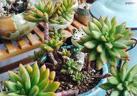 89�O�F�����s���µ��к��L��