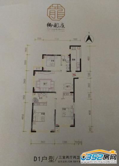 ����ͥD1����