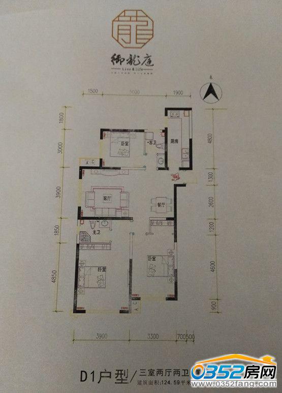 ����ͥD1����