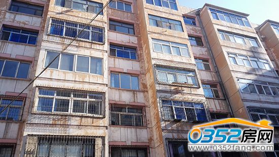 20101343f2898682d42749.jpg 1.jpg