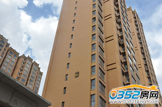 30115718d89f3d1ac52022.jpg DSC_0078.jpg