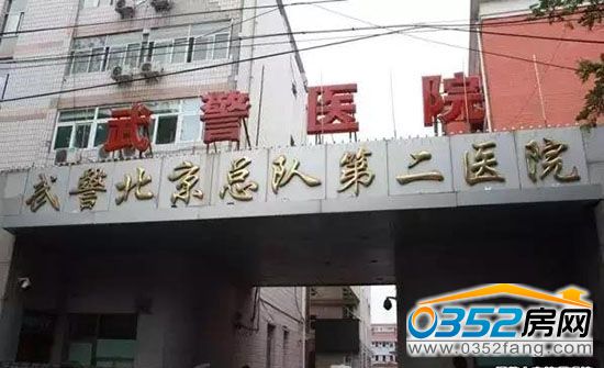 05150958b3e62d389f7011.jpg 2342363X9_0.jpg