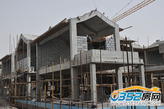 0910374551ea667bb15342.jpg DSC_0101.JPG