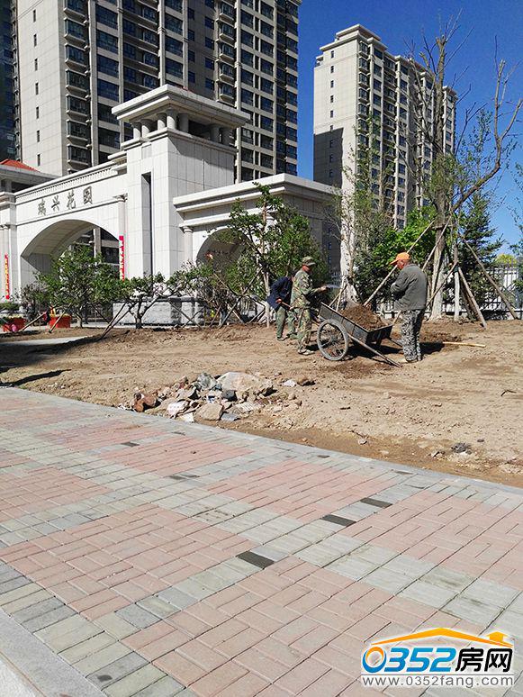 2016.5.12���d���@�G�����O