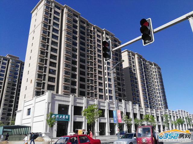 2016.5.12���d���@�Ŀ�����D