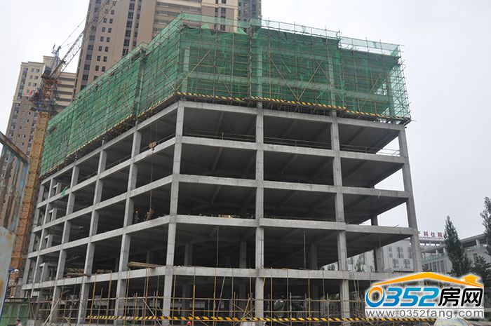 0314175281424a24638838.jpg DSC_0055.JPG