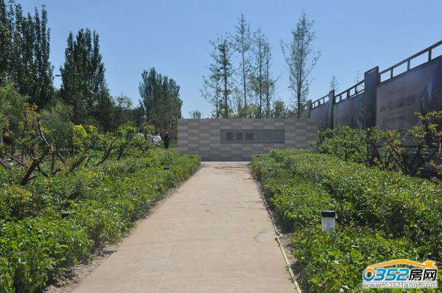 ͨ���Ǹ۳ǘӰ��g��·