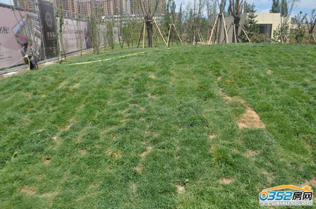 �Ǹ۳ǘӰ��g�^�Nֲ��Ƥ�����D