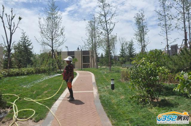 �Ǹ۳ǘӰ��g�^�G�������D