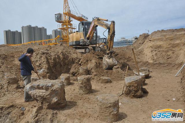 2016.6.23��1̖���_�ژ��g��